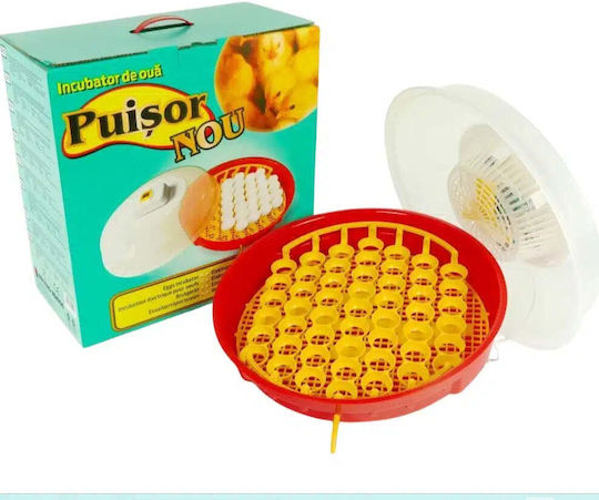 Incubator