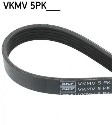 Skf Vkmv 5pk1255 Ribbed Transmission Belt