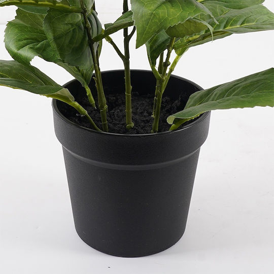 Dekorative Topfpflanze Hortensie Inart Weiß Φ35x50 Εκ
