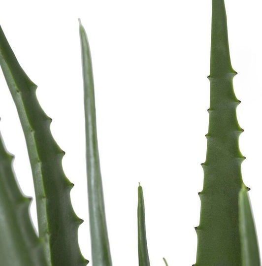 Globostar Aloe 20066 Künstliche Dekorative Topfpflanze Aloe Y65cm Schwarzes Grün