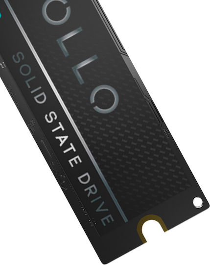 Apollo S3 SSD 256GB with PCI Express 3.0 Connection 107083002507