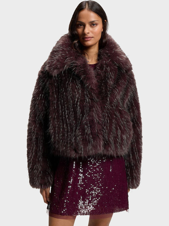 Short Women's Jacket for Winter Bordeaux