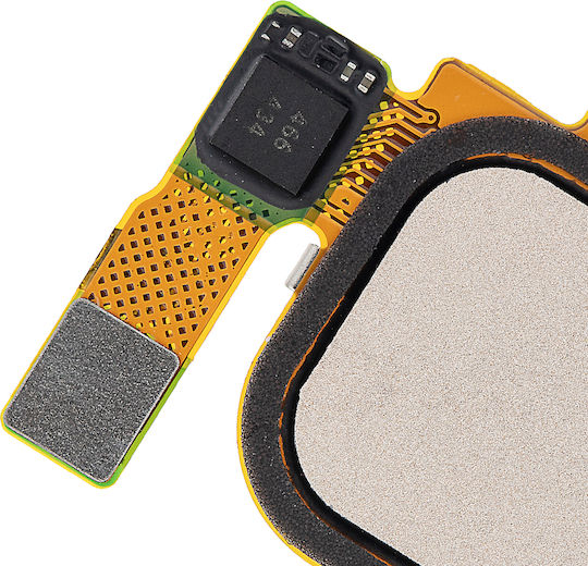 Cablu Flex Buton Acasă Nexus 6p H1511 Auriu