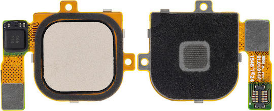Cablu Flex Buton Acasă Nexus 6p H1511 Auriu