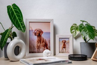 Ramka Woodflow Frameflip A4 Bleached Wood