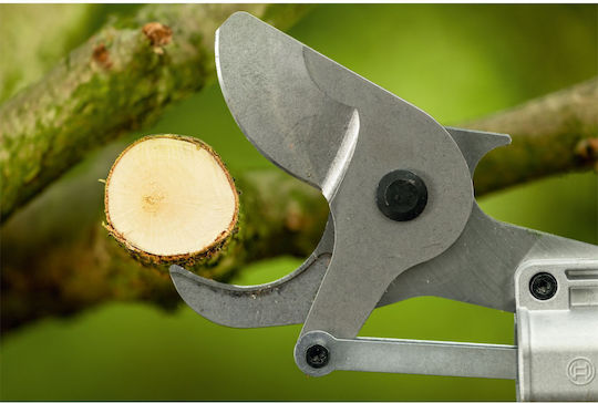 Bosch 06008D8002 Foarfecă Fixă cu Coadă Lungă