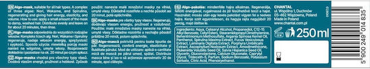 Chantal Sessio Algorytm Algo Hair Mask for Repairing 250ml