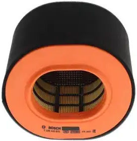 Bosch Auto Luftfilter F 026 400 876