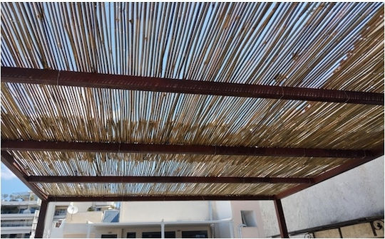 Ecoshadow Gard de Bambus Bambus cu Lemn Întreg 1x3m