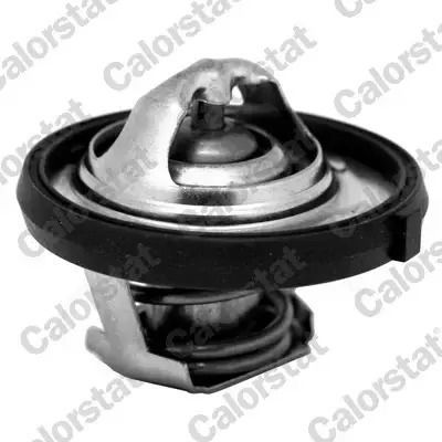 Thermostat Coolant Calorstat By Vernet Th7311.95j