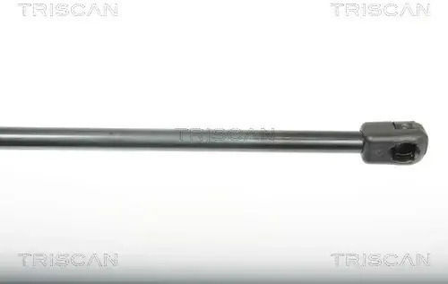 Triscan 8710 25243 Amortizor Portbagaj