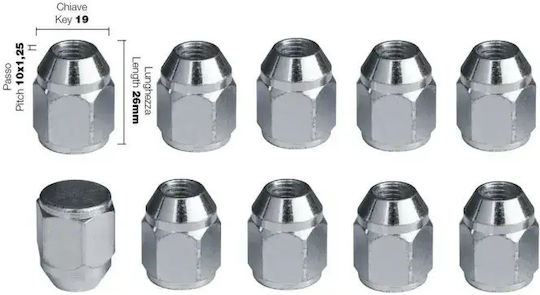 Simoni Racing Nüsse Konisch 10x1.5 Länge 26mm für Schlüssel Nr. 19 10Stück