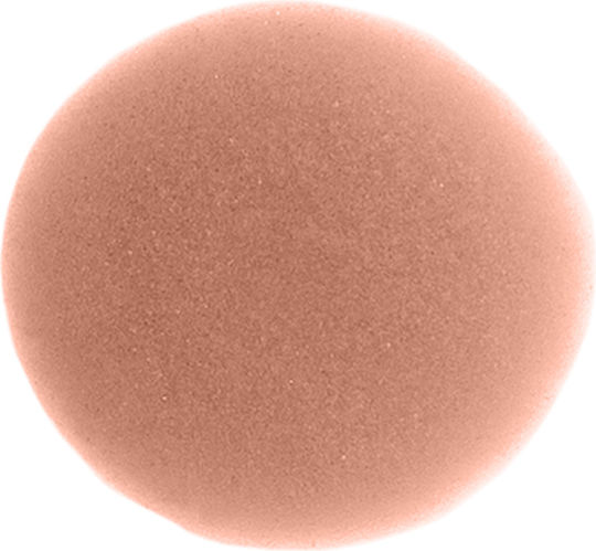 Cnd Perfect Soft Warme Beigen Acrylnägel Pulver & Flüssigkeiten Abdeckung 104g