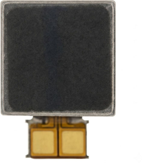 Samsung Μηχανισμός Δόνησης για Galaxy Note 20 Ultra