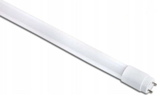 Eco Light LED крушка 9W Тип Флуоресцентни 60εκ. за фасунга G13 и форма T8 Неутрално бяло 900лм