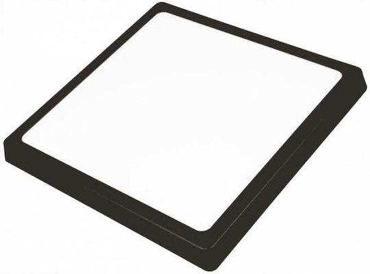 Eco Light LED Flutlicht 18W Natürliches Weiß 4000K mit Bewegungssensor