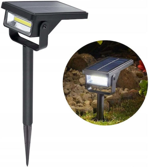 Saska Garden Spiked Solar Light 75lm with Cold White Light 8000K