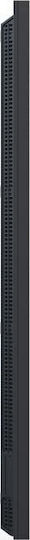 AG Neovo NSD-6503 Afișaj public 65" 4K UHD