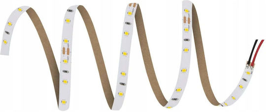 Ledvance LED-Streifen 24V Warmes Weiß Licht 5m
