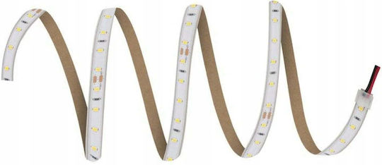 Band Led Ls V 1500 840 V 1500 840 5 Ip66 60w 4000k 4058075705647 Ledvance 4058075705647