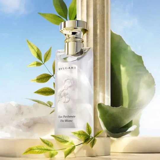 Bvlgari Eau Parfumée Au Thé Blanc Unisex Set Cadou