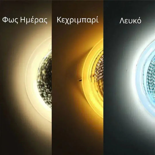 SteweHome Правоъгълен Огледало За Баня LED Със Сензорно Управление 55x65см Бял