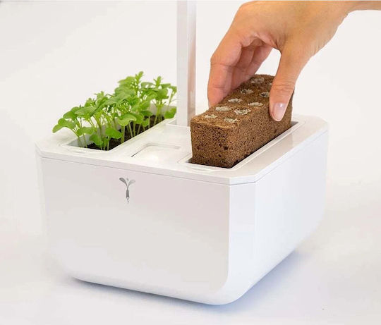 Ghiveci De Flori Clasic Din Plastic Ghiveci De Flori Clasic Din Plastic