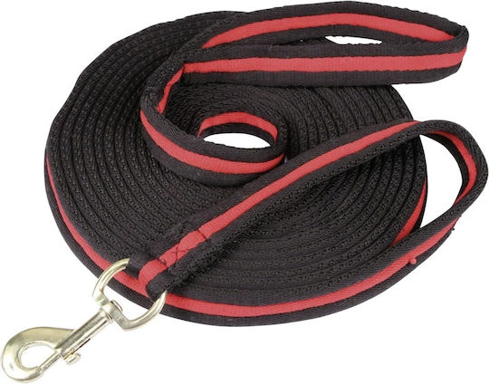 Accesorii pentru cai