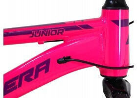 Carrera 20" Παιδικό Mountain Bike Ροζ