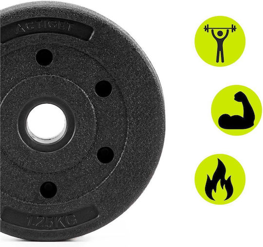 Disc 1 x 1.25kg Φ29mm