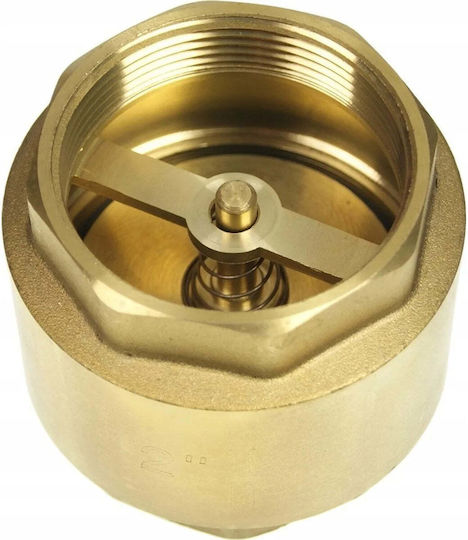 Non-Return Valve with Brass Disc 20 Hydr.zz.m.20
