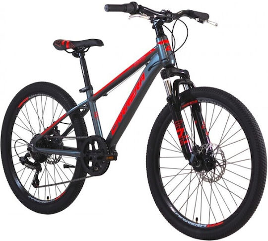 24 Παιδικό Mountainbike mit Aluminiumrahmen Grau