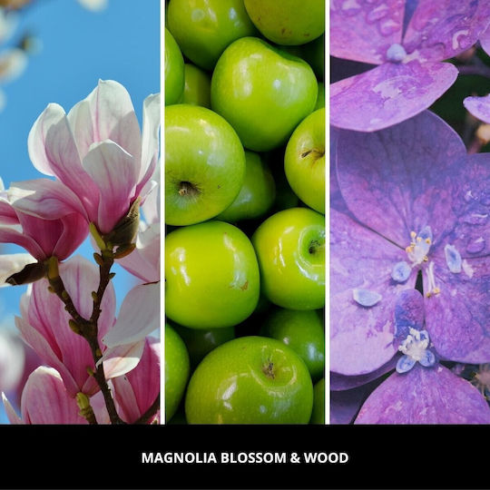 Пълнител Millefiori Aria Magnolia Lossom & Wood