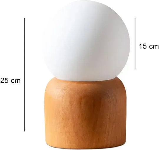 SteweHome Decorative Light Fixture 15x15cm