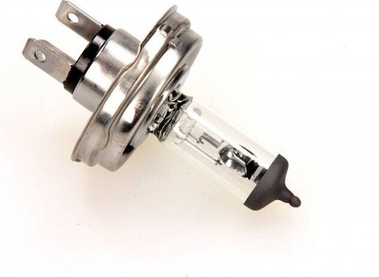 Maxgear Bec Auto H4 cu Halogen 12V