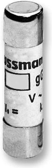 Eaton Cylindrical Melting Fuse