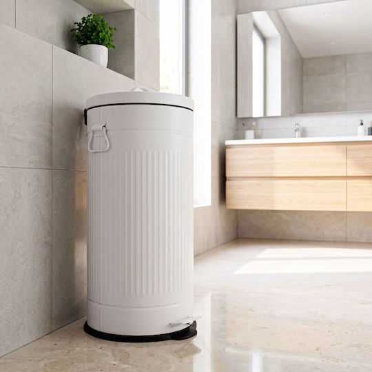 Relaxdays Coș de Gunoi Metalic cu Pedală 30 l Gri