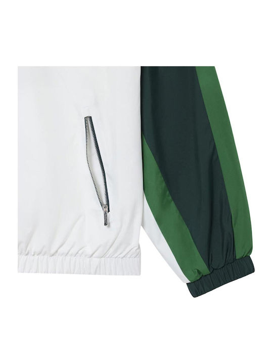 Sportliche Windjacke Grün