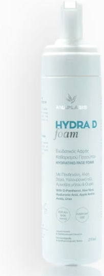 Anaplasis Hydra D Gesichtsreiniger Schaumstoff mit Feuchtigkeitsspendend & Kontrolle der Fettigkeit Wirkung 200ml
