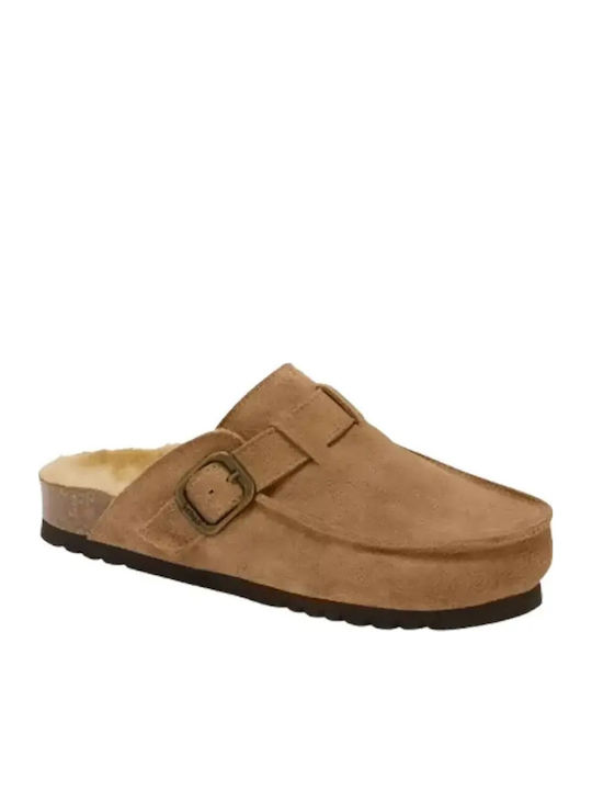 Scholl Scholl