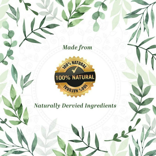Khadi Natural Neeam & Tea Trea Liquid Cleansing Face 210ml