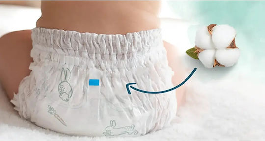 Pampers Πάνες Βρακάκι Harmonie No. 5 για 12-17kg 160τμχ