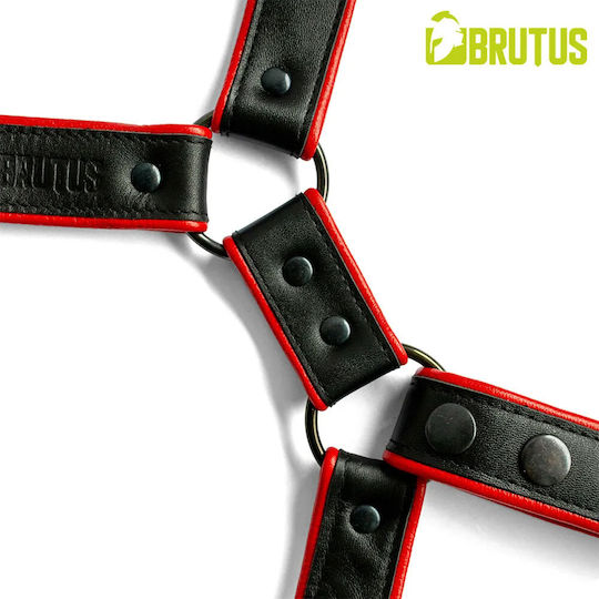 Brutus Ham Sexy pentru bărbați