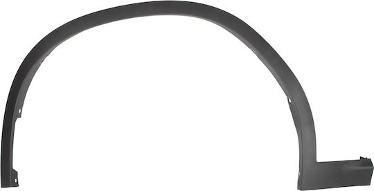 Ornament Aripă Față Stânga BMW X4 G02 F98 2018