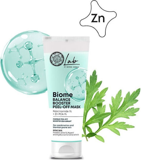 Natura Siberica Biome Face Mask 75ml