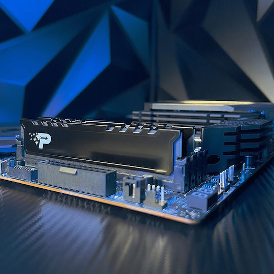 Signature Line Premium DDR5 with Module 1x16GB and Speed 5600 for Desktop