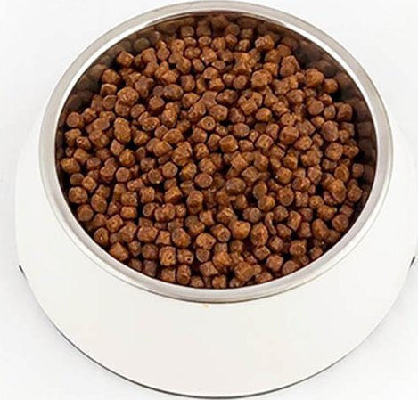 10kg Dry Food for Small Breed Puppies with Beef