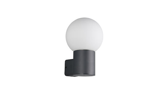 Trio Lighting Mures Wall-Mounted Outdoor Lighting