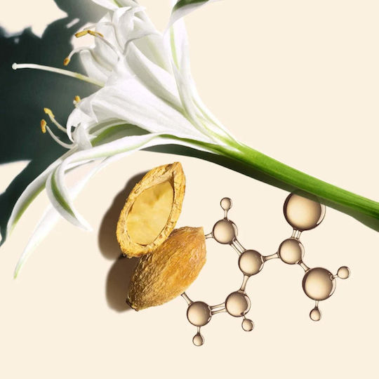 Nutri Lumière Ενυδατική Κρέμα Προσώπου Ημέρας με SPF15 50ml