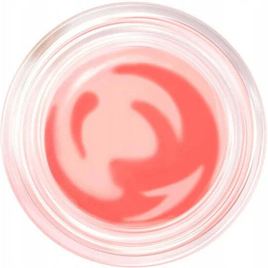 Lip Balm 13gr